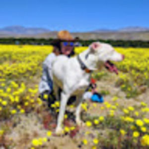 Meet your Posher, Cambria